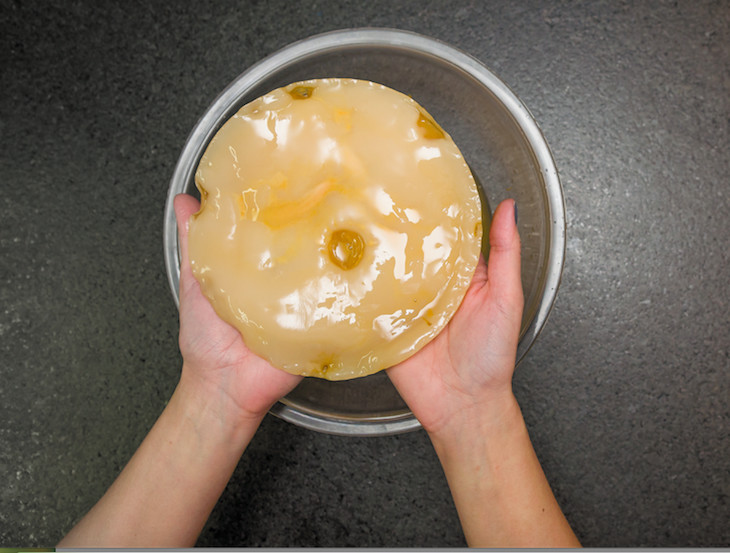 Kombucha in cocktails