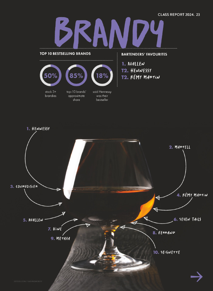 Brandy Vs. Calificaciones Whiskey Vs Brandy: Differences Between The